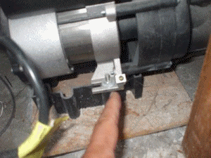 Expert Inspection Services  by Tim Spargo